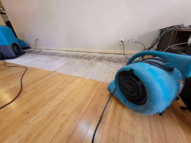 Professional Sewage Cleanup technician working in Malta Bend, MO